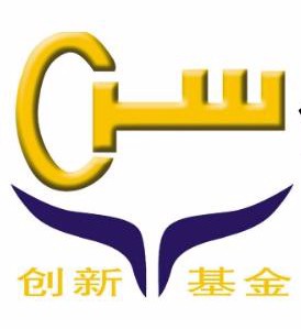 初創/創新項目